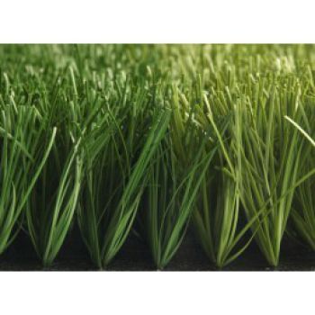 Cỏ nhân tạo NM-C2